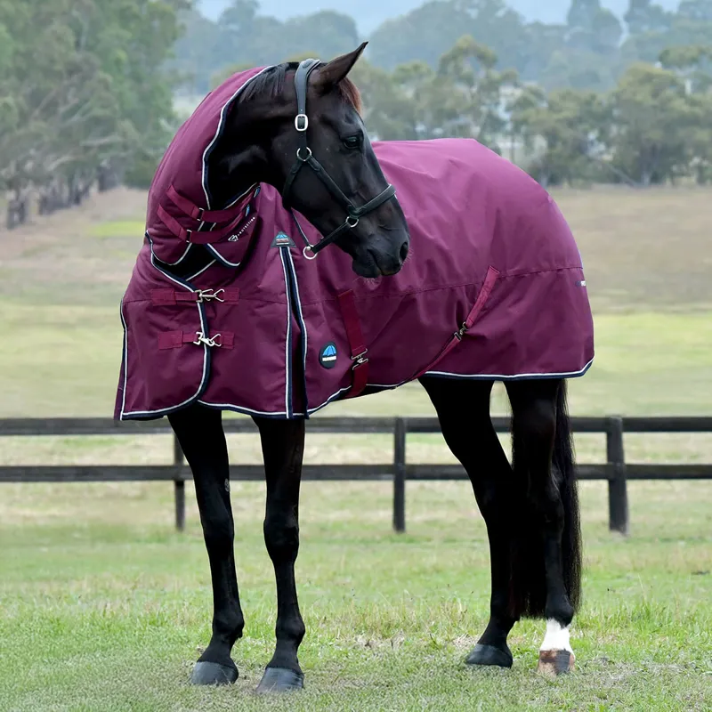 WeatherBeeta ComFiTec Essential 220g Combo Turnout Rug - Burgundy/Navy