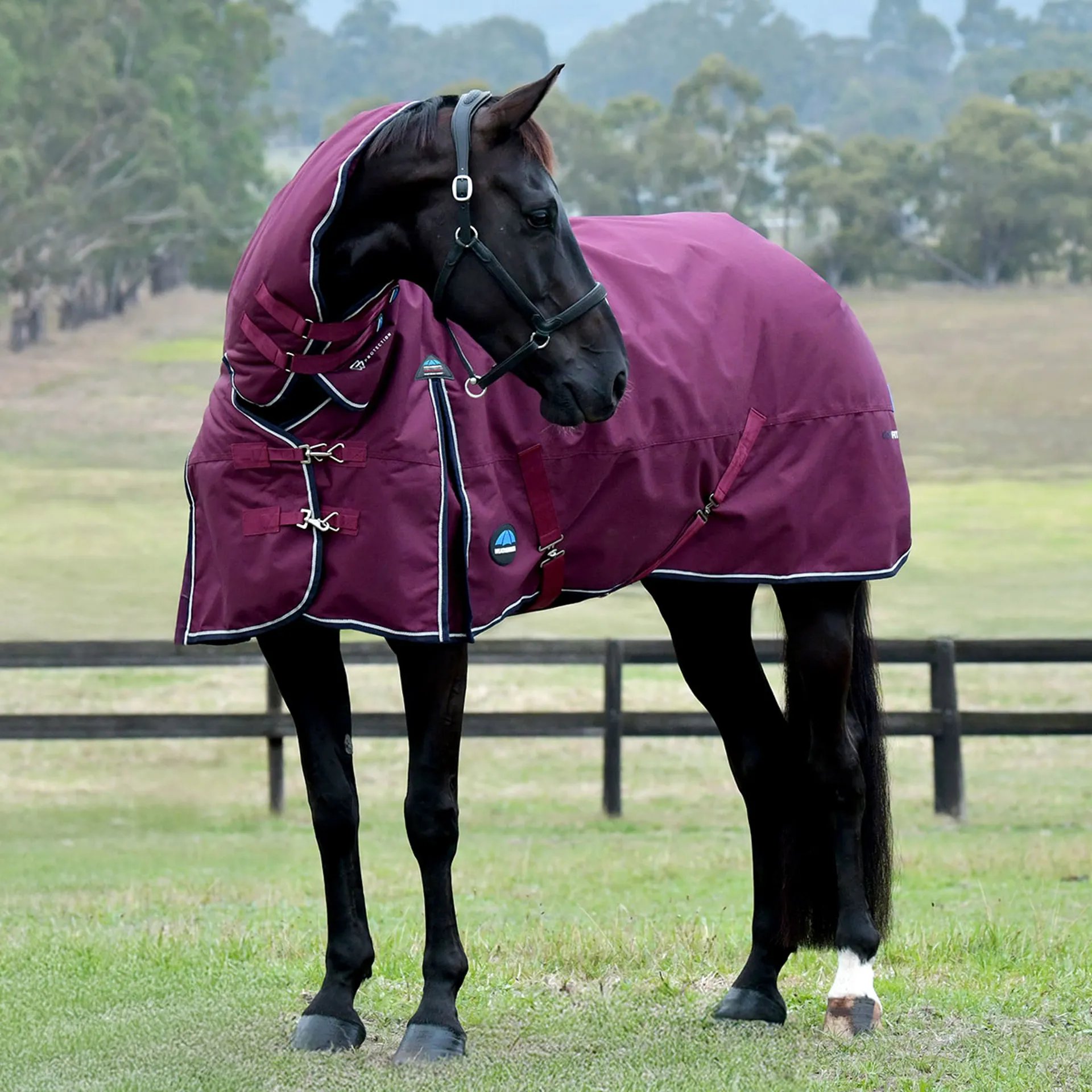 Weatherbeeta Turtle Rug WeatherBeeta ComFiTec Essential 220g Combo Turnout Rug - Burgundy