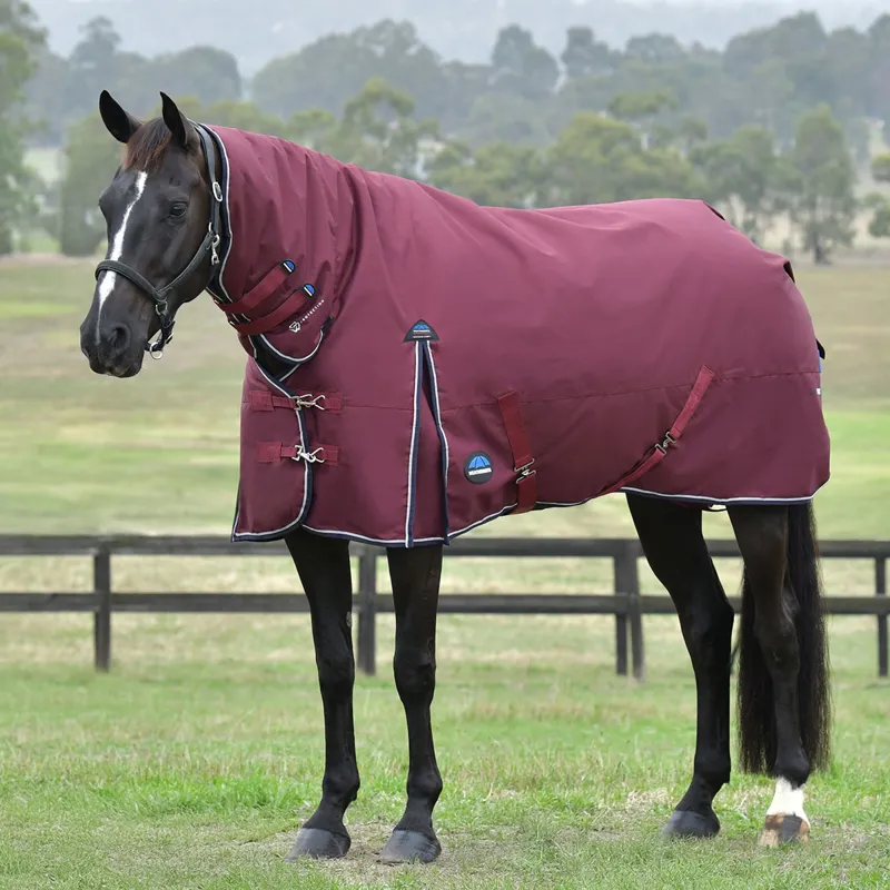 WeatherBeeta ComFiTec Essential 360g Combo Turnout Rug - Burgundy/Navy