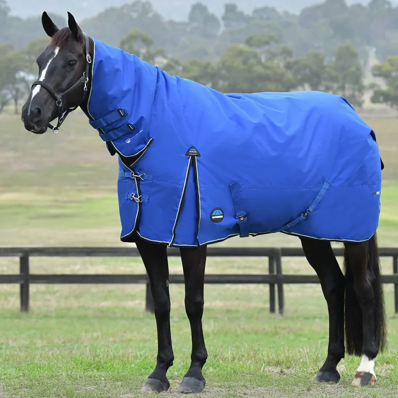WeatherBeeta ComFiTec Essential 220g Combo Turnout Rug - Cobalt/Black
