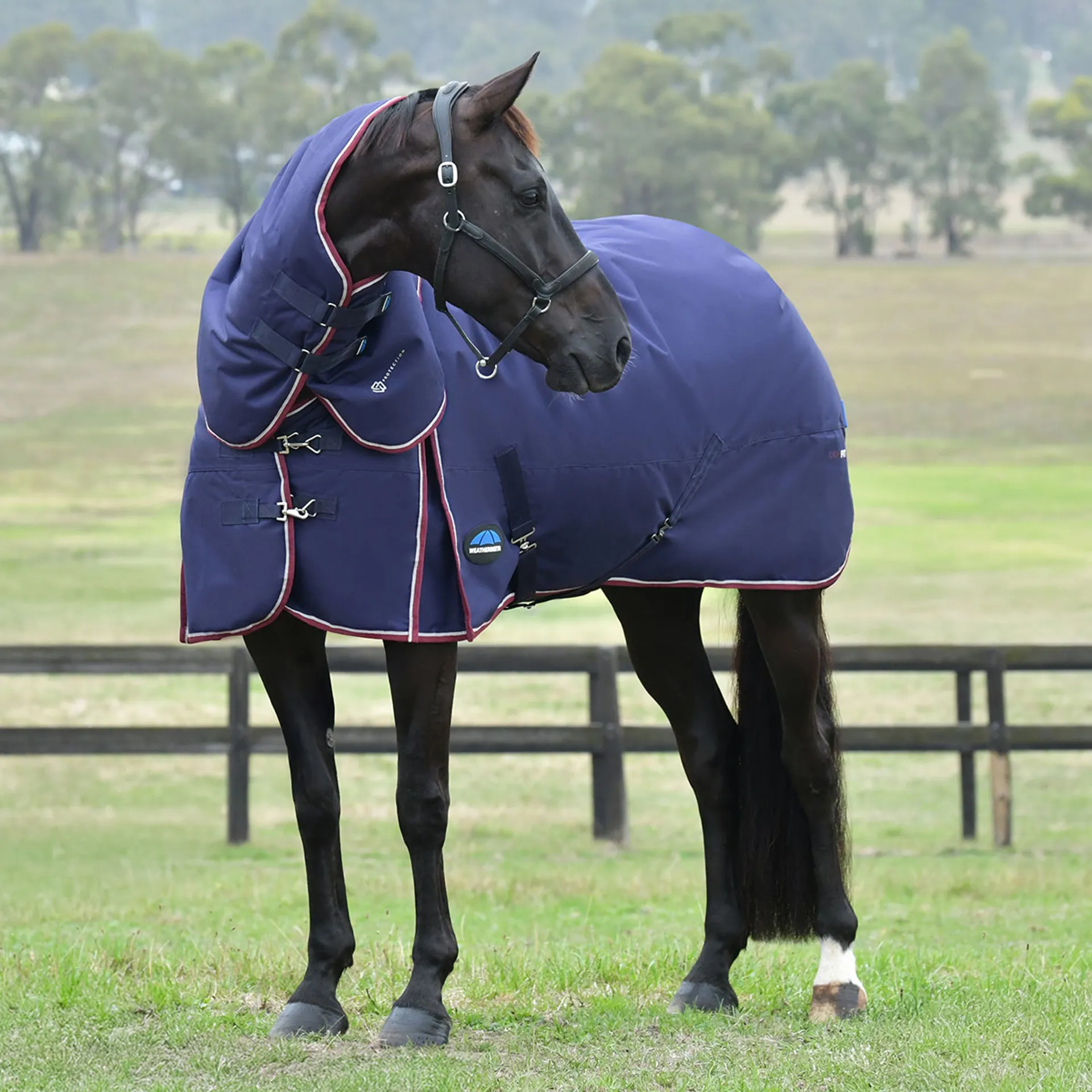 Weatherbeeta Turtle Rug WeatherBeeta Essential 50g Detach-A-Neck Turnout Rug Navy
