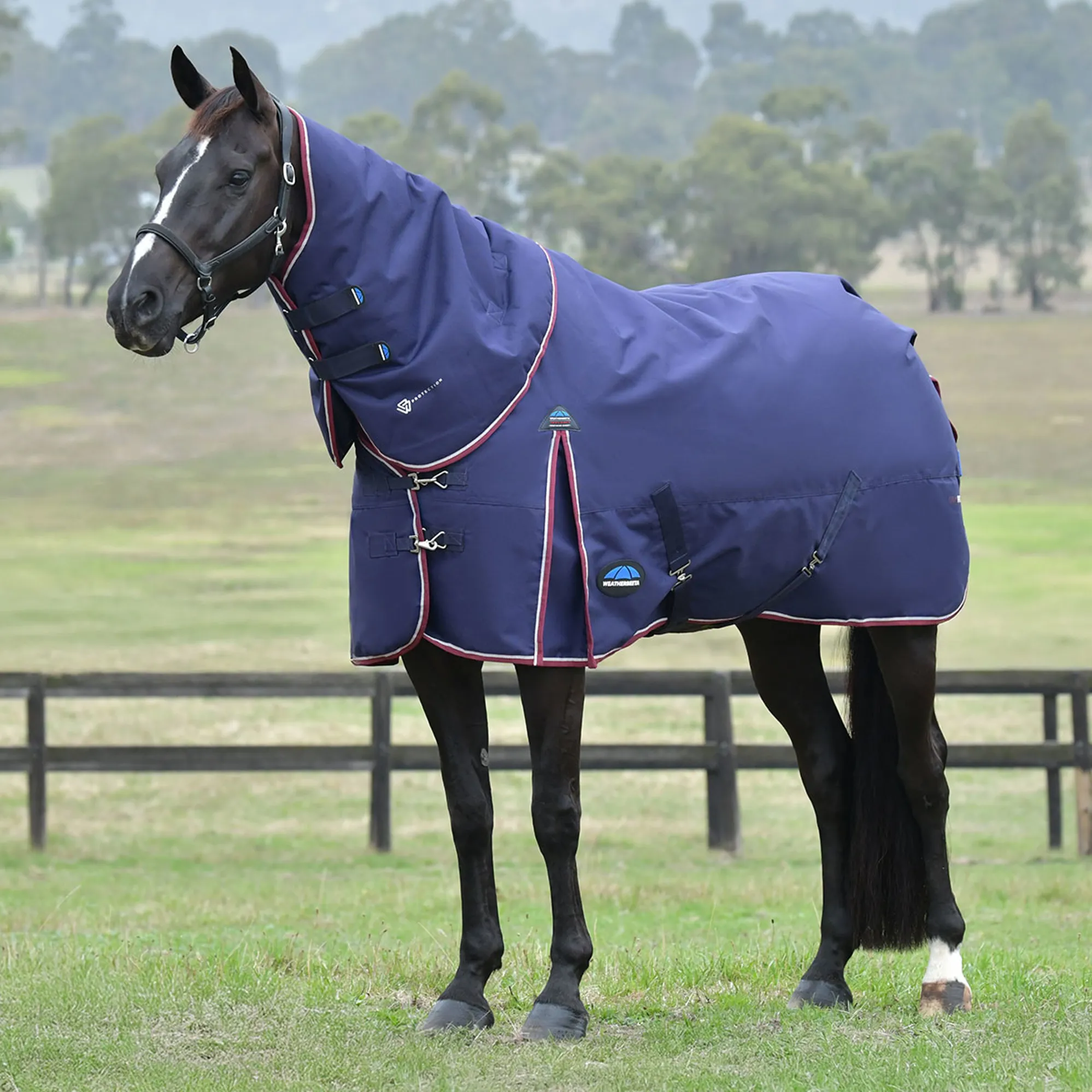 Weatherbeeta Turtle Rug WeatherBeeta Essential 50g Detach-A-Neck Turnout Rug Navy