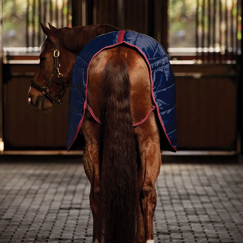 WeatherBeeta ComFiTec 210D Channel Quilt 220g Stable Rug - Navy-4