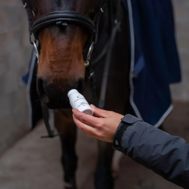 Canter Equestrian Zenroll Calming Balm-1