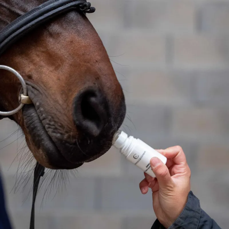 Canter Equestrian Zenroll Calming Balm-2