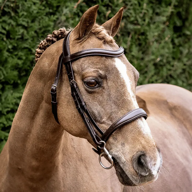 Henry James Cavesson Bridle - Havana Brown-1
