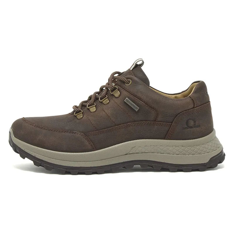 Chatham Holgate Waterproof Mens Hiking Shoes - Dark Brown-5