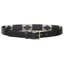 HV Polo Chaya Polo Belt - Black/Gold