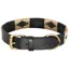 HV Polo Chaya Dog Collar - Black/Gold