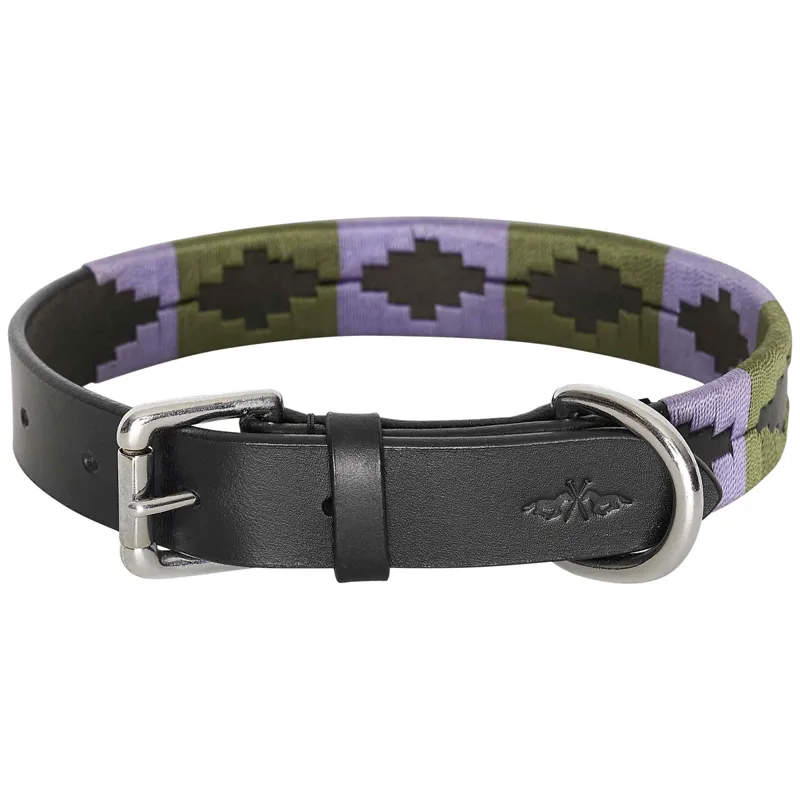 HV Polo Chaya Dog Collar - Black/Lilac