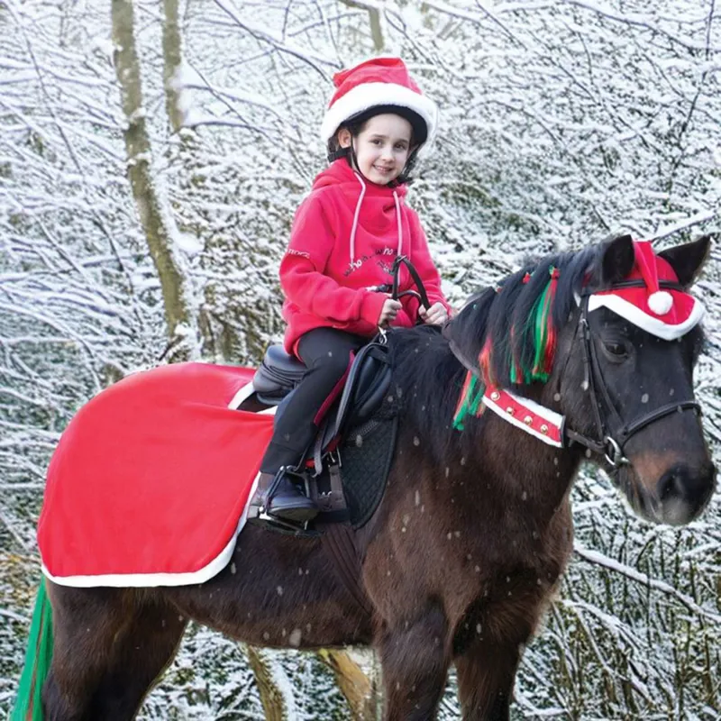 Equetech Christmas Santa Quarter Sheet - Red-1