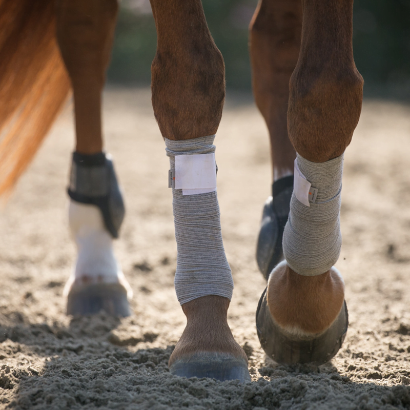 Incrediwear Equine Circulation Exercise Therapeutic Bandages - Grey-1