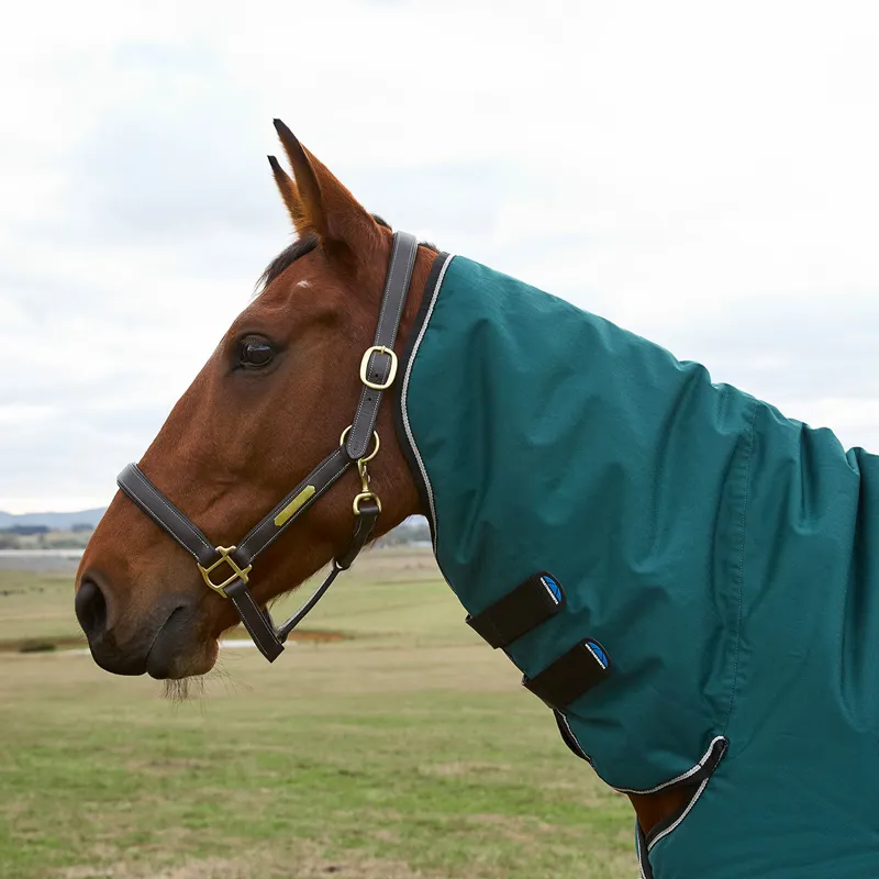 WeatherBeeta ComFiTec Classic 360g Combo Neck Turnout Rug - Forest-10