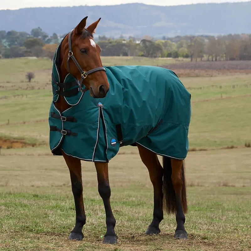 WeatherBeeta ComFiTec Classic 220g Combo Turnout Rug - Forest Green-7