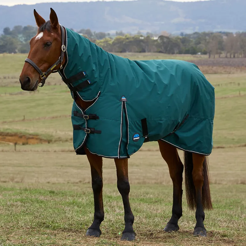 WeatherBeeta ComFiTec Classic 360g Combo Neck Turnout Rug - Forest-3