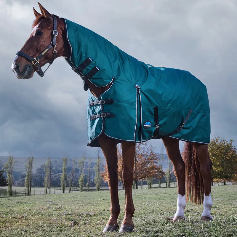 WeatherBeeta ComFiTec Classic 220g Combo Turnout Rug - Forest Green-2