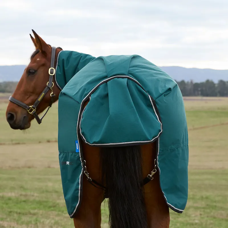 WeatherBeeta ComFiTec Classic 360g Combo Neck Turnout Rug - Forest-1