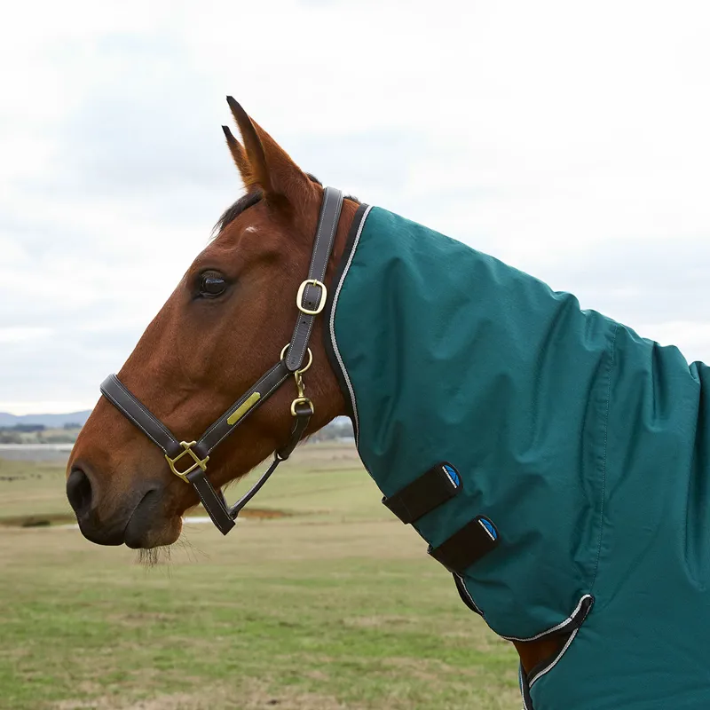 WeatherBeeta ComFiTec Classic 50g Combo Neck Turnout Rug - Forest Green-9