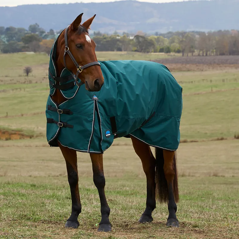 WeatherBeeta ComFiTec Classic 50g Combo Neck Turnout Rug - Forest Green-1