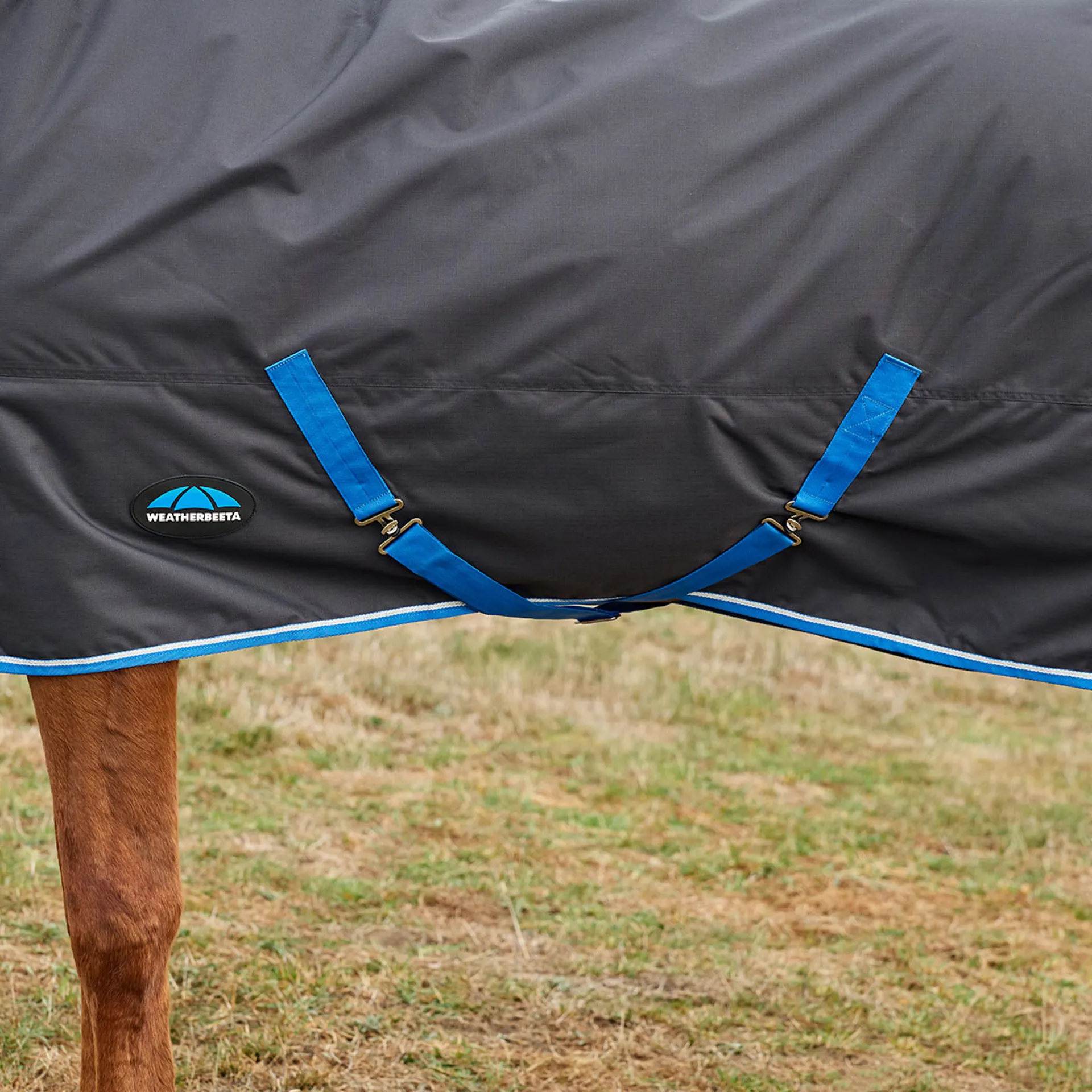 Weatherbeeta Turtle Rug WeatherBeeta ComFiTec Tyro 220g Combo Turnout Rug - Black/Cobalt
