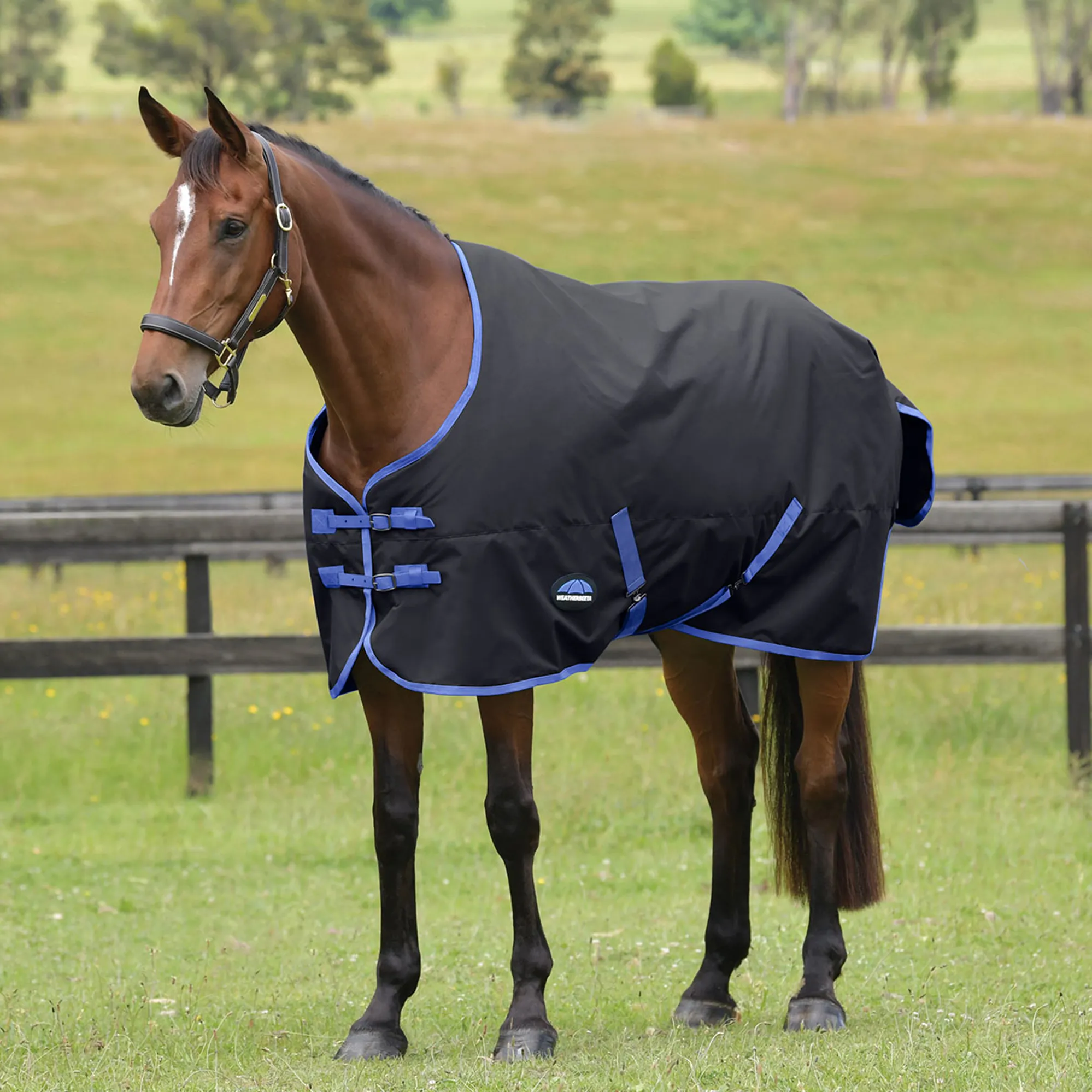 Weatherbeeta Turtle Rug WeatherBeeta ComFiTec Tyro 220g Standard Turnout Rug Black/Cobalt