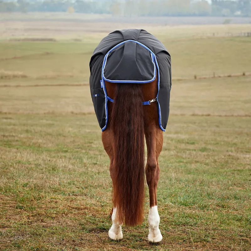 WeatherBeeta ComFiTec Tyro 220g Standard Turnout Rug - Black/Cobalt-4