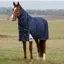 WeatherBeeta ComFiTec Ultra 100g Detach-A-Neck Turnout Rug - Navy