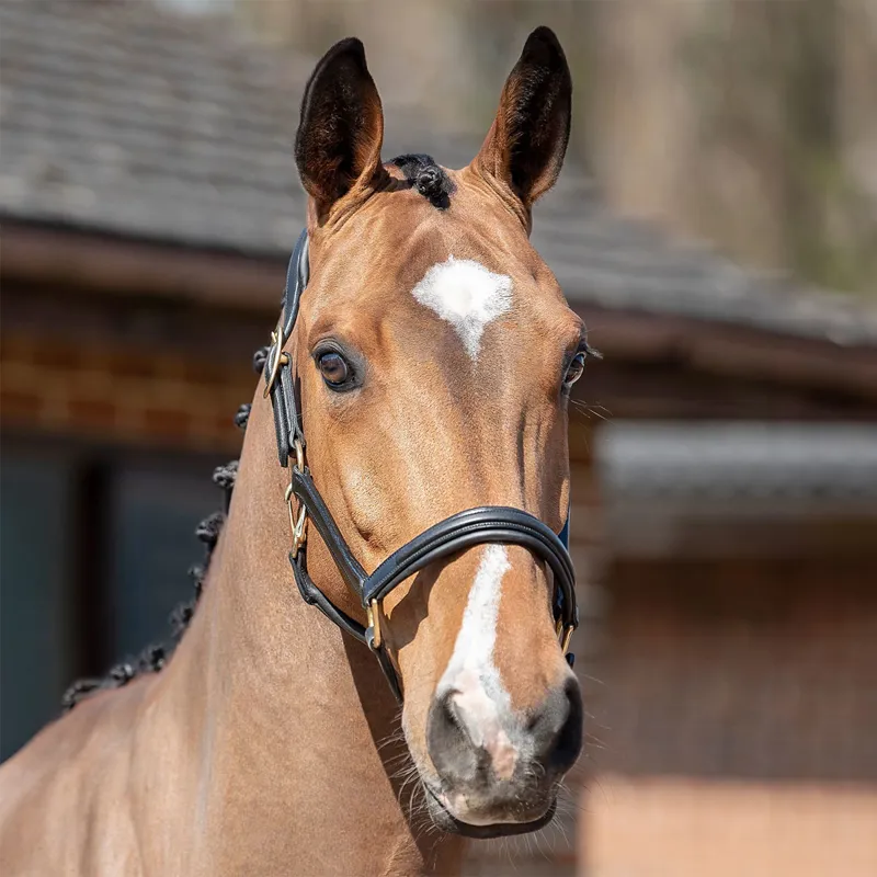 Henry James Comfort 3D Air Headcollar - Black-2