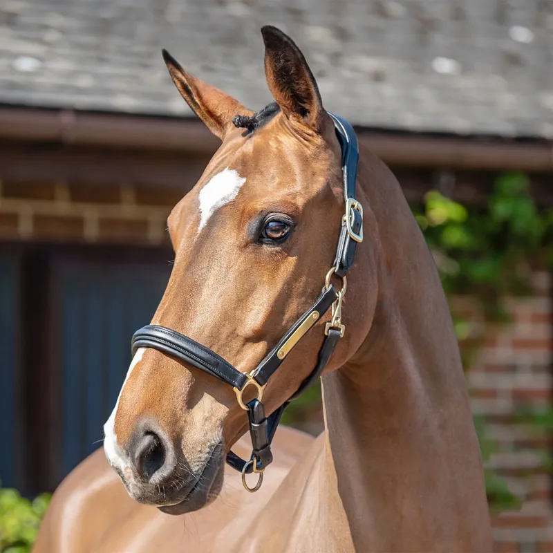 Henry James Comfort 3D Air Headcollar - Black-1