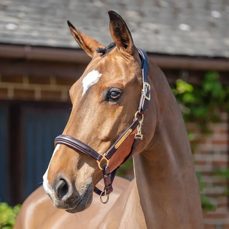 Henry James Comfort 3D Air Headcollar - Havana Brown