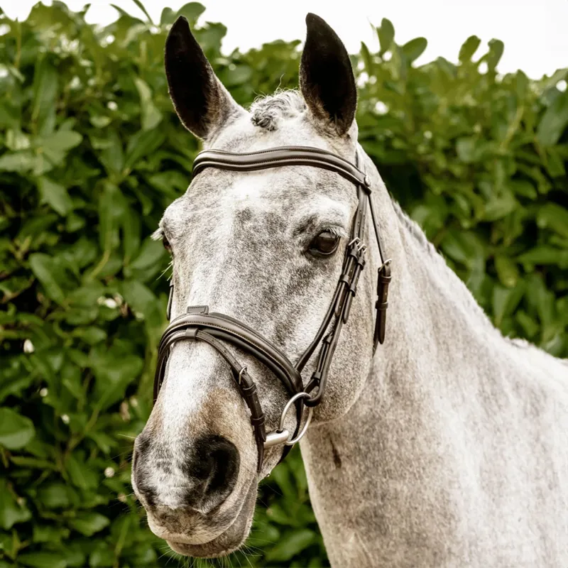 Henry James Comfort Flash Bridle - Black-3