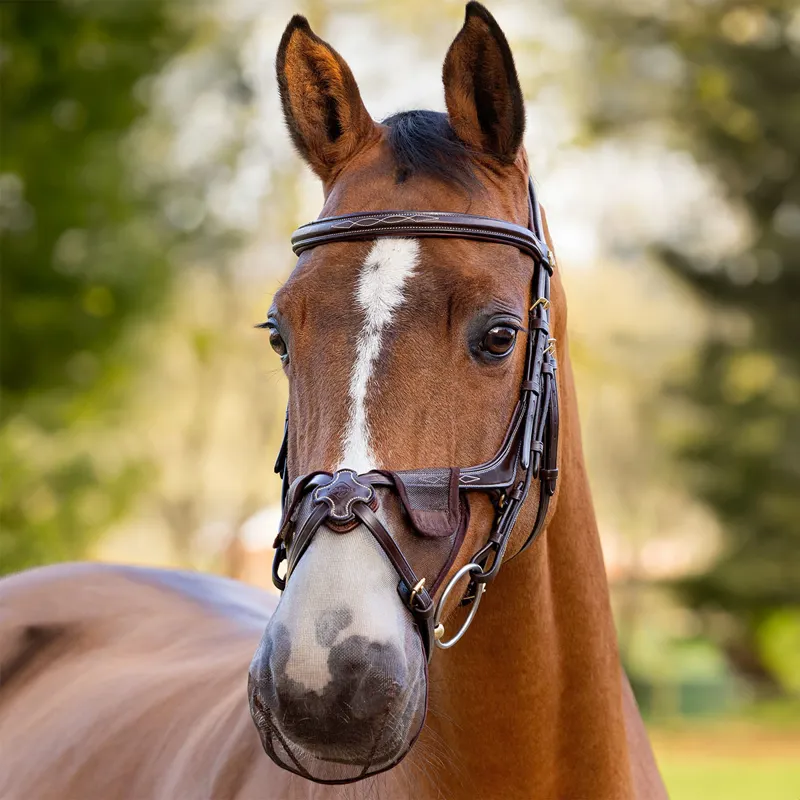LeMieux Comfort Shield Grackle Nose Filter - 2 Pack - Brown