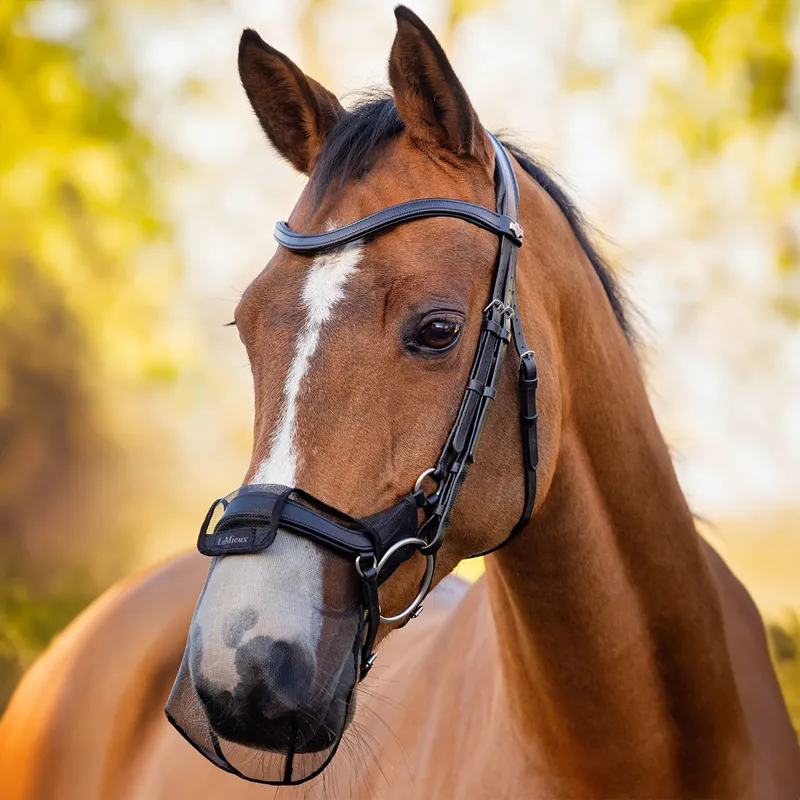 LeMieux Comfort Shield Drop Nose Filter - 2 Pack - Black