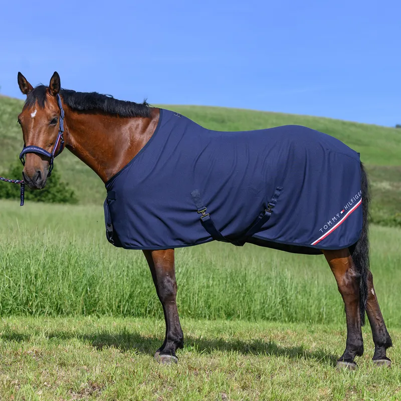 Tommy Hilfiger Cornell Waffle Cooler Rug - Desert Sky