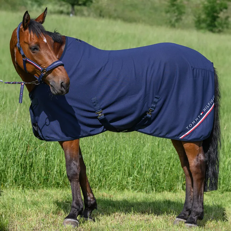 Tommy Hilfiger Cornell Waffle Cooler Rug - Desert Sky-2