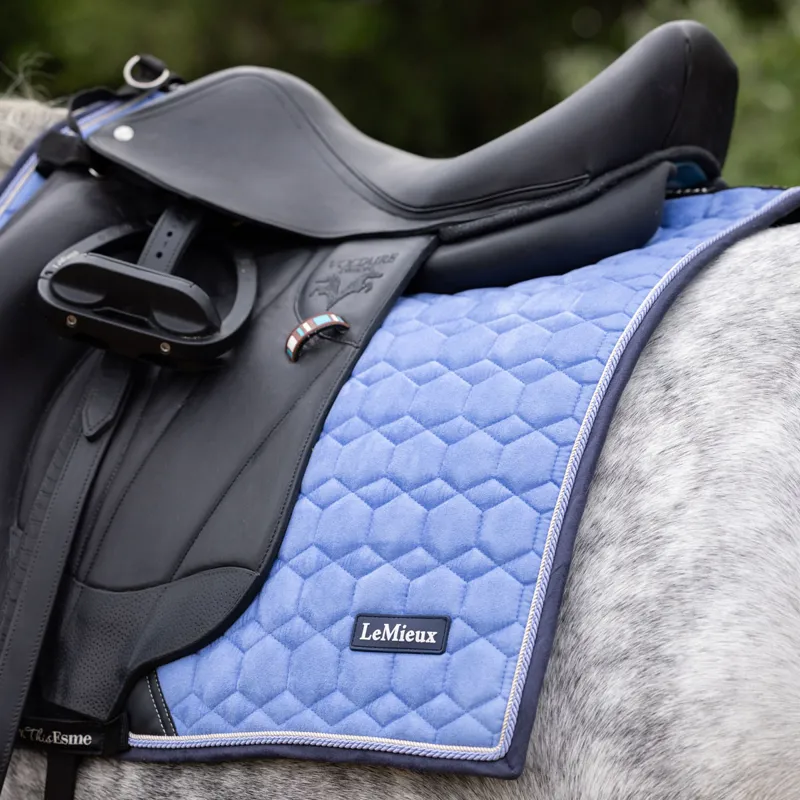 LeMieux x This Esme Dressage Square - Corn Blue-1