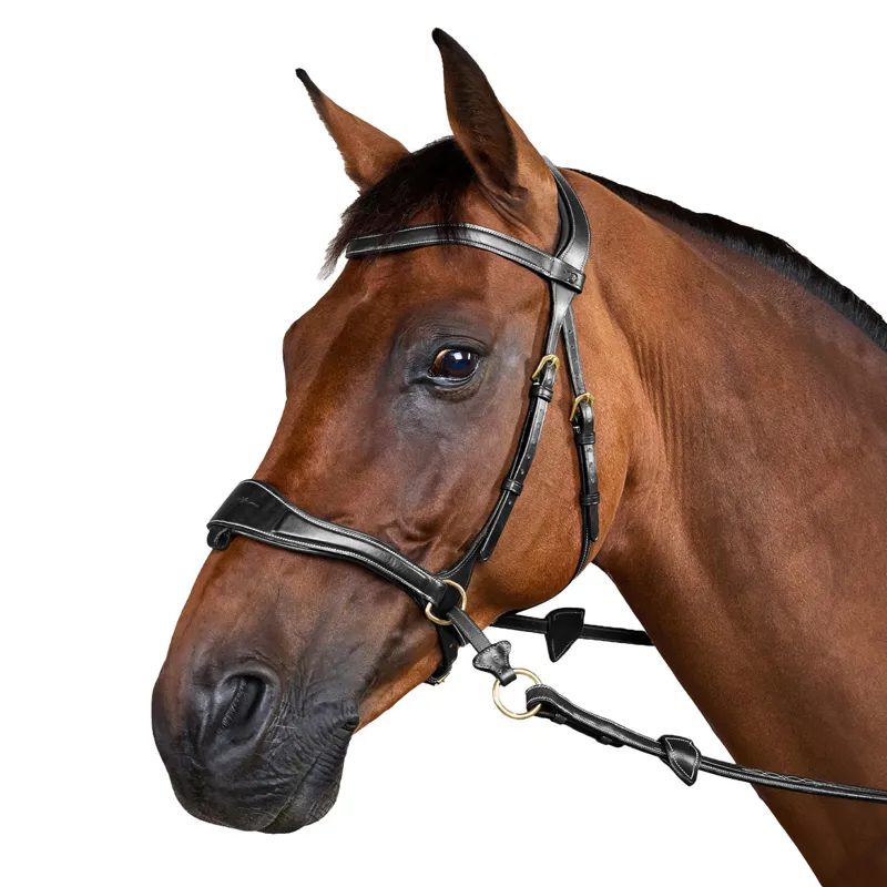 Dy'on D Collection D Motion Flash Bitless Multi Bridle - Black-4