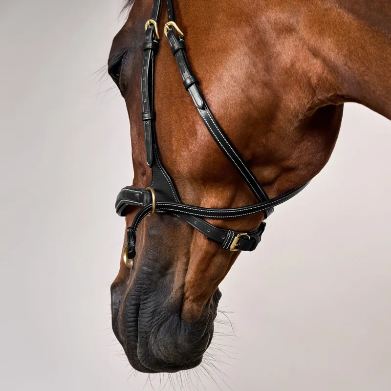 Dy'on D Collection D Motion Flash Bitless Multi Bridle - Black-11