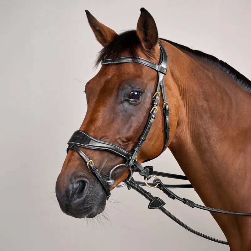 Dy'on D Collection D Motion Flash Bitless Multi Bridle - Black-9