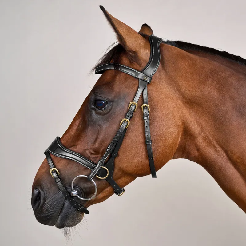 Dy'on D Collection D Motion Flash Bitless Multi Bridle - Black-8