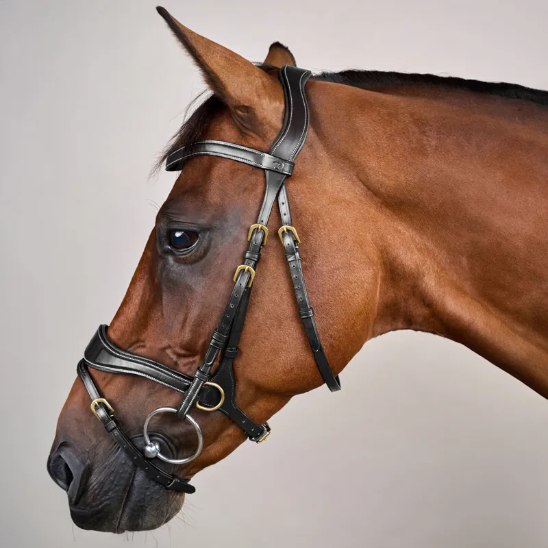 Dy'on D Collection D Motion Flash Bitless Multi Bridle - Black-7