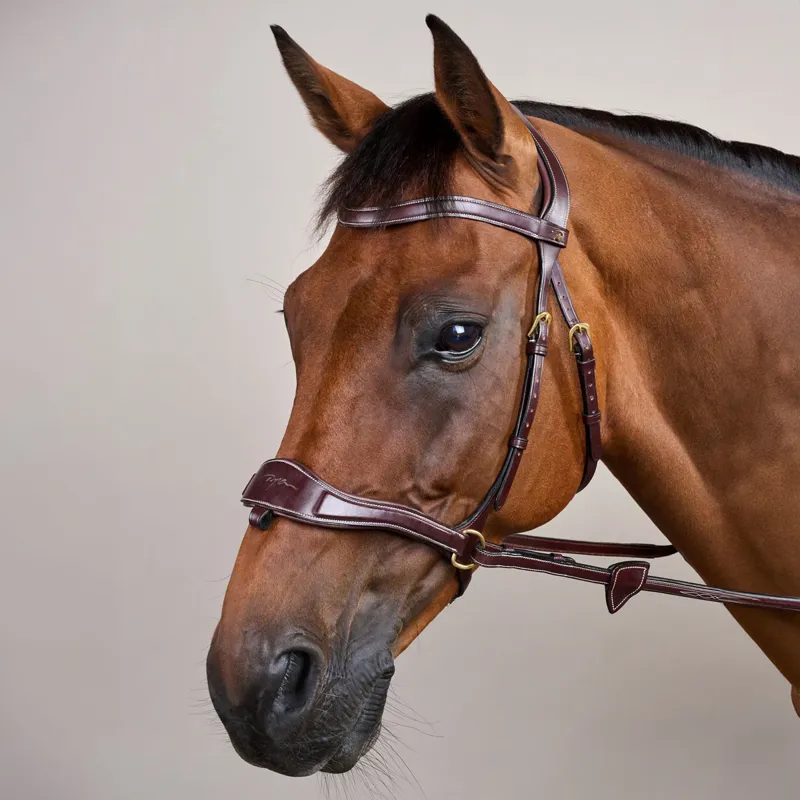 Dy'on D Collection D Motion Flash Bitless Multi Bridle - Brown-8