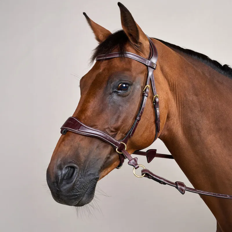 Dy'on D Collection D Motion Flash Bitless Multi Bridle - Brown-7