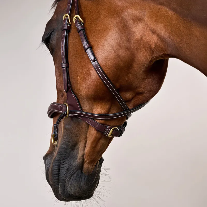 Dy'on D Collection D Motion Flash Bitless Multi Bridle - Brown-6