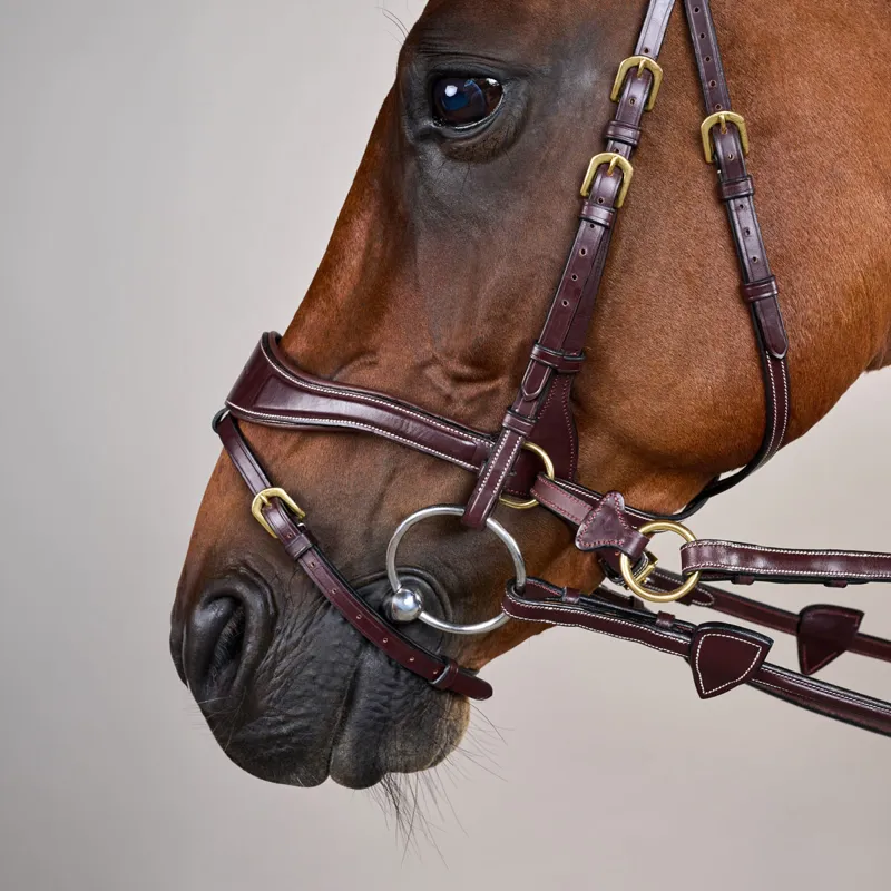 Dy'on D Collection D Motion Flash Bitless Multi Bridle - Brown-5