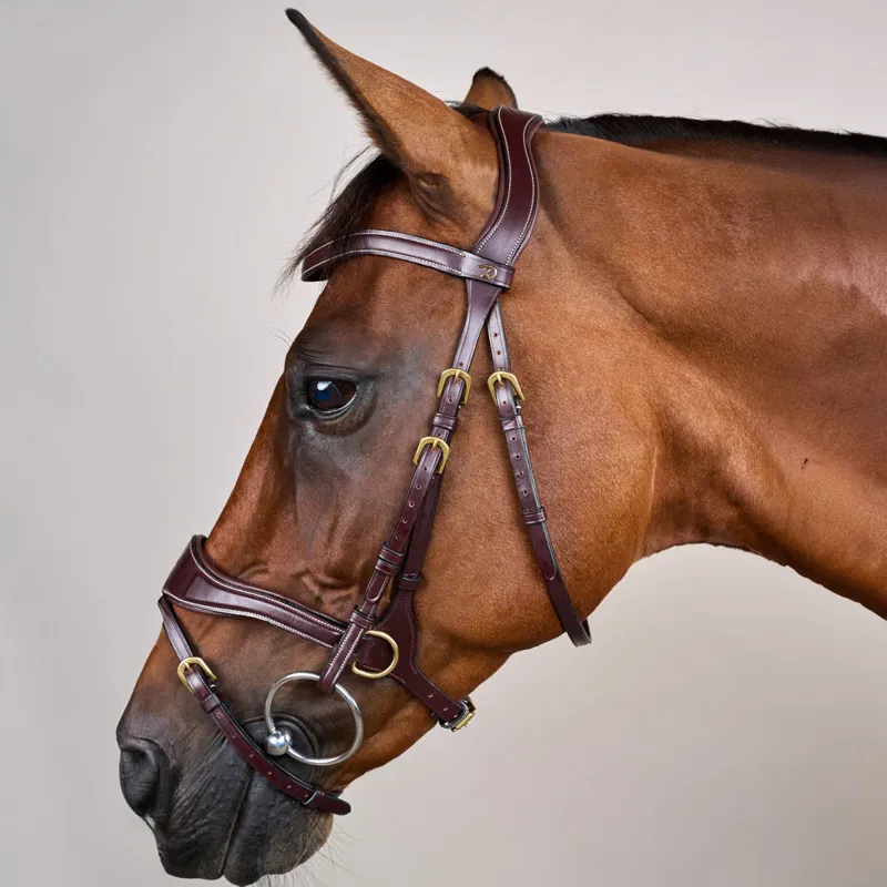 Dy'on D Collection D Motion Flash Bitless Multi Bridle - Brown-4