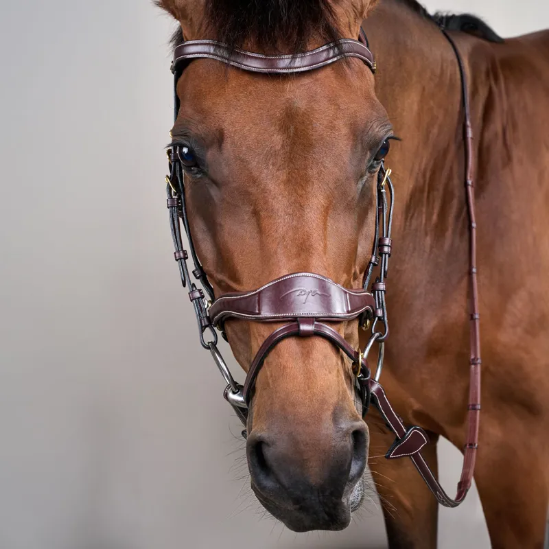 Dy'on D Collection D Motion Flash Bitless Multi Bridle - Brown-3