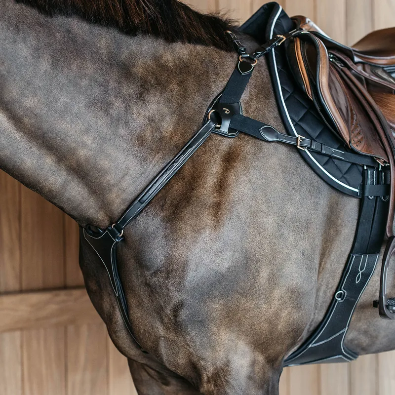 Dy'on D Collection 5-Point Elastic Breastplate - Black