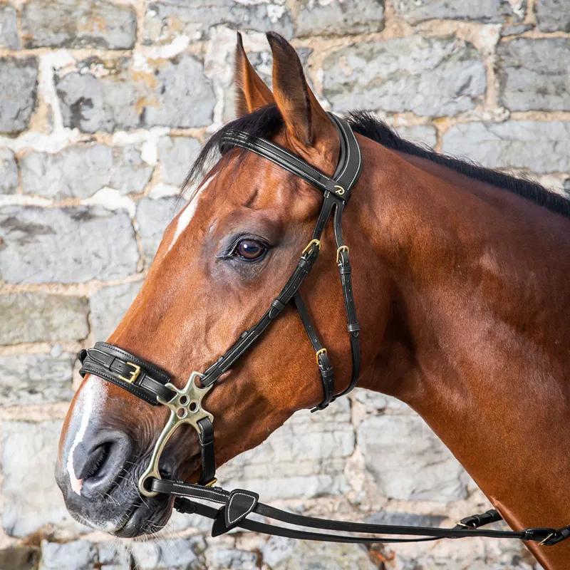 Dy'on D Collection Hackamore Bridle - Black-1