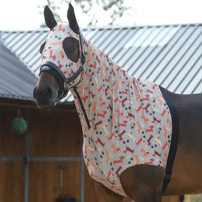 Weatherbeeta Printed Stretch Hood - Dachshund